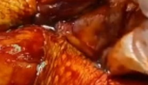 小姐姐炖鸡腿,小姐姐的温馨烹饪之旅